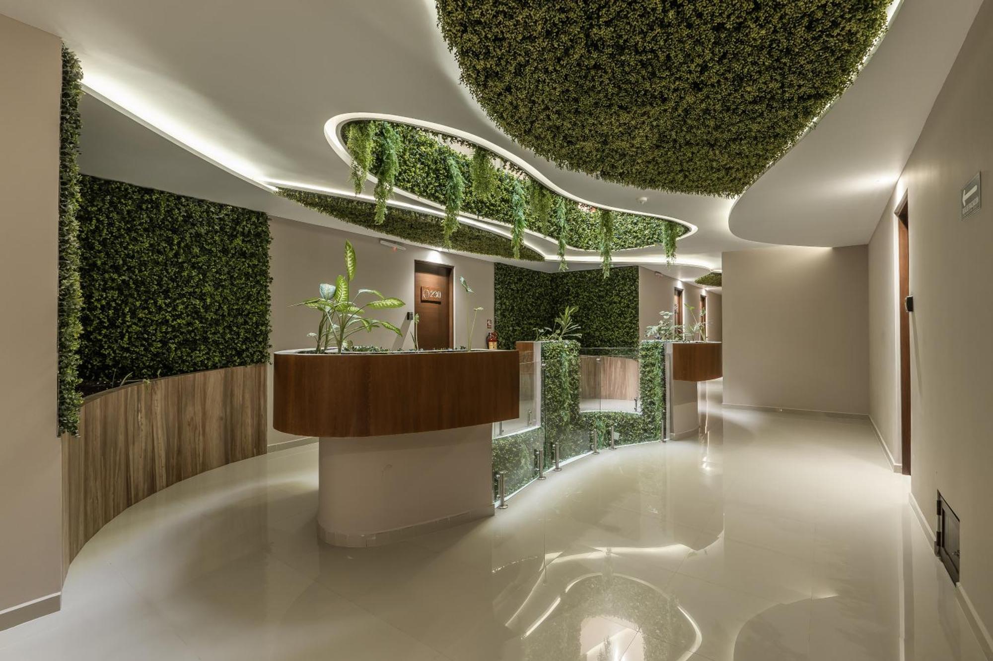 טולום Estudio Lujoso, Downtown, Close To Restaurants מראה חיצוני תמונה